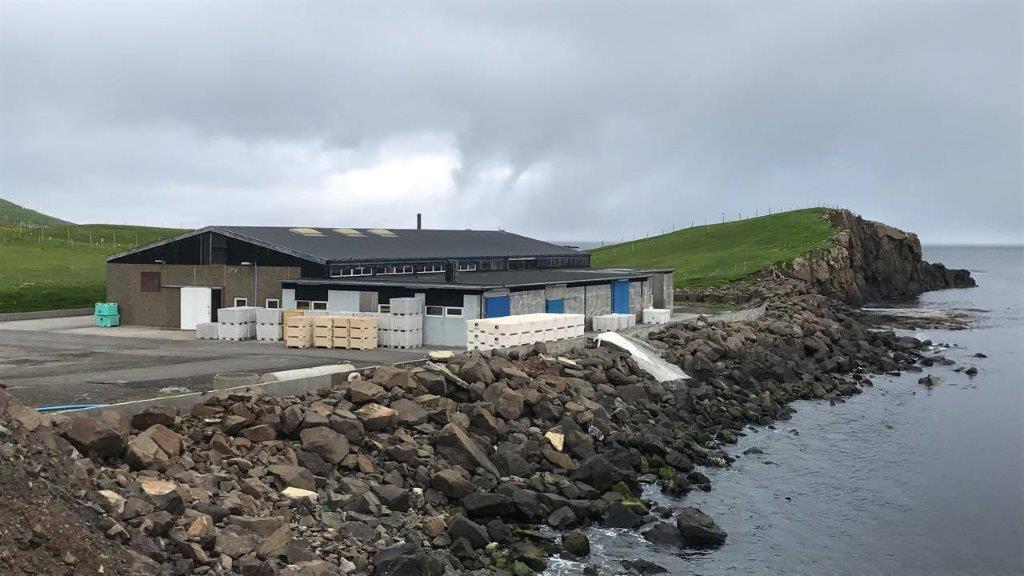Biscay See Food Faroe Island